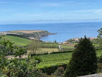 Steeped in Tradition: Finding Calm at the Gorreana Tea Plantation in the Azores