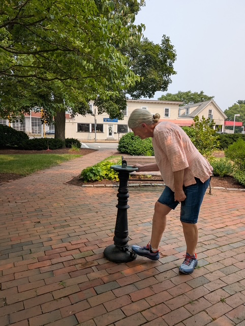 Water Fountain in Wellesley