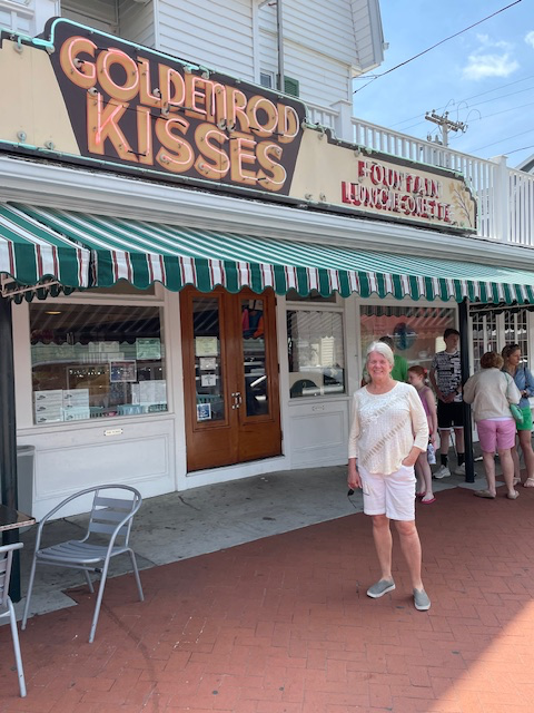 Goldenrod – York Maine