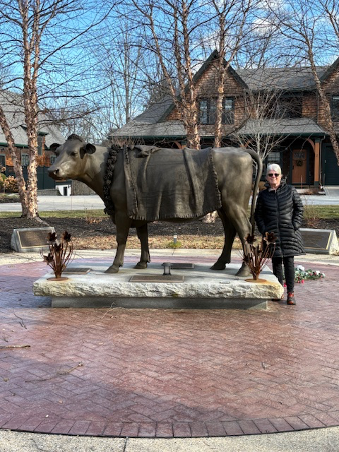 Emily the Cow – Sherborn, MA
