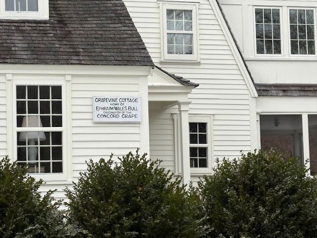Grapevine Cottage – Concord