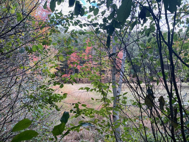 Naming a New Town Lincoln