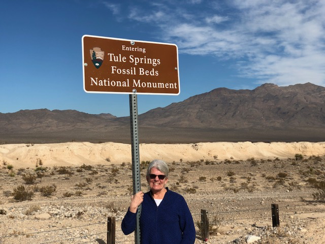 Tule Springs Fossil Beds National Monument – Nevada