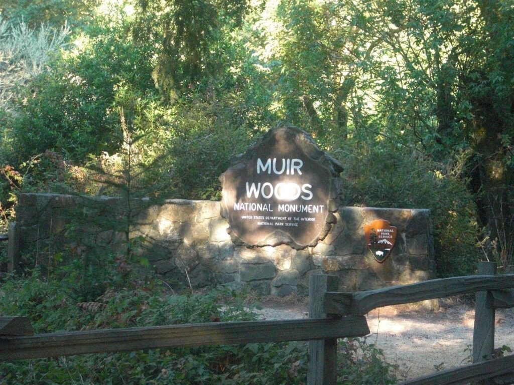 Muir Woods National Monument – California