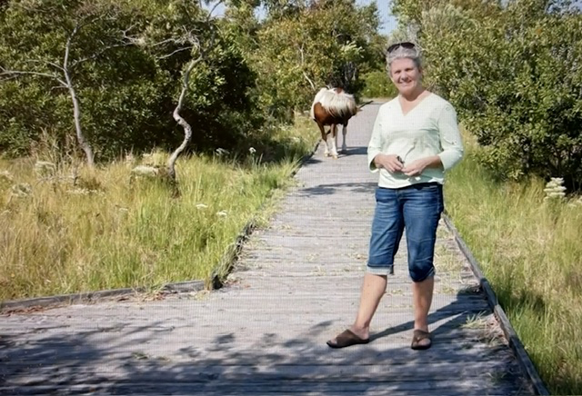 Assateague Island National Seashore