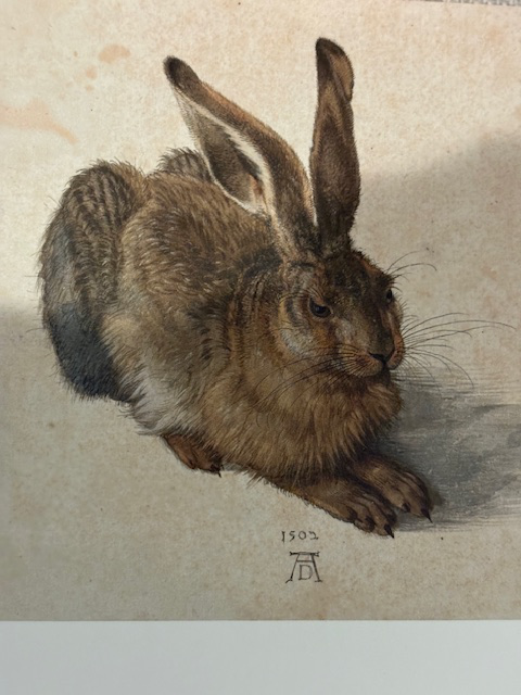 Durer’s “The Young Hare”
