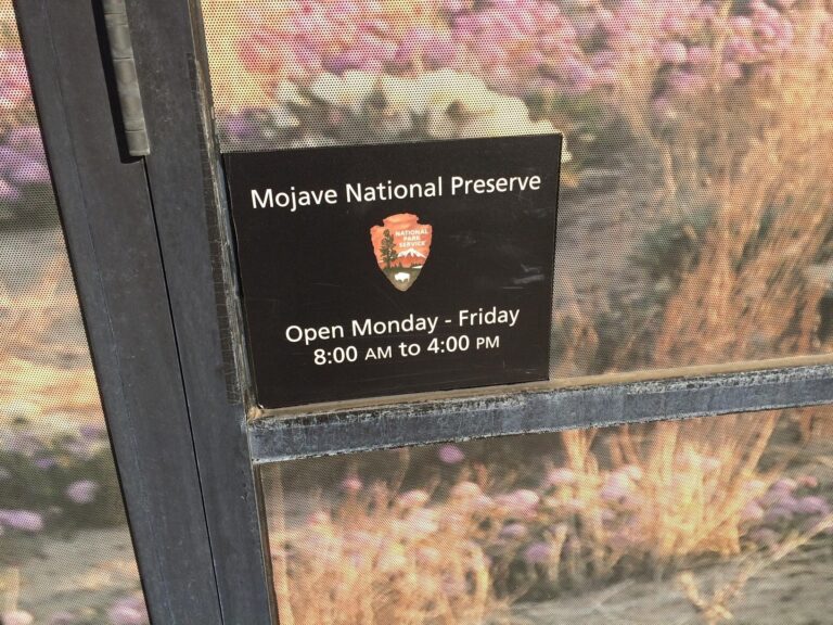 Mojave National Preserve
