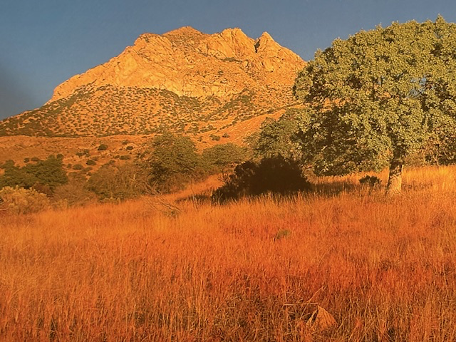 Coronado National Memorial