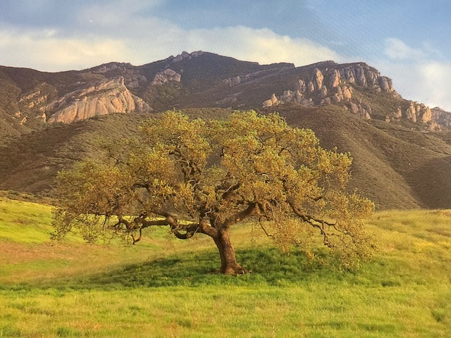 Santa Monica Mountains National Recreation Area