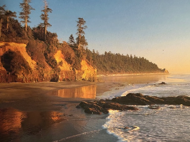 Olympic National Park