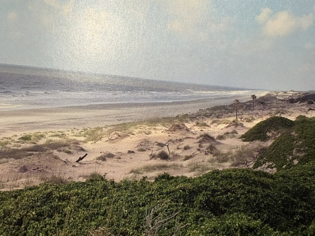 Cumberland Island National Seashore 