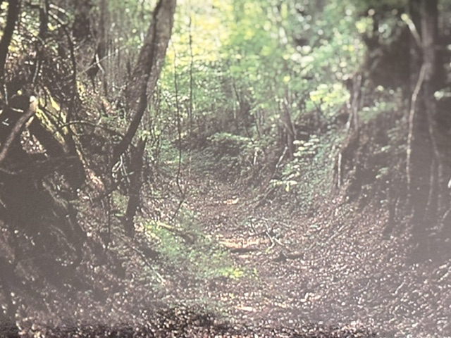 Natchez Trace National Scenic Trail 