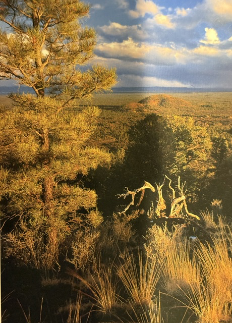 El Malpais National Monument