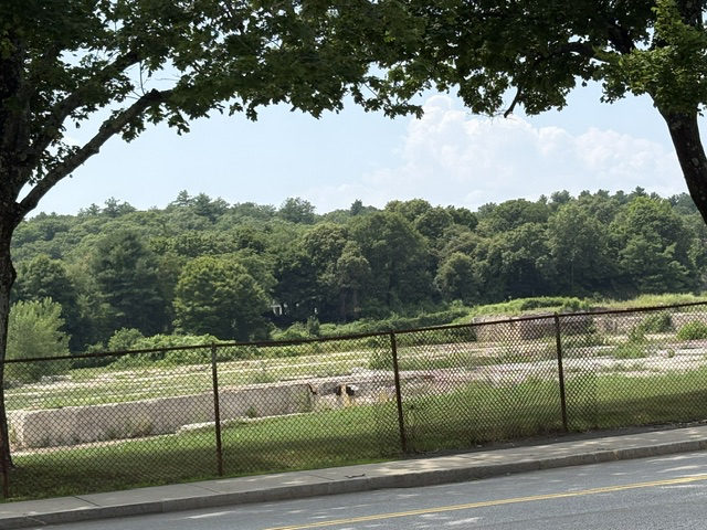 Where an Industrial Giant Once Stood