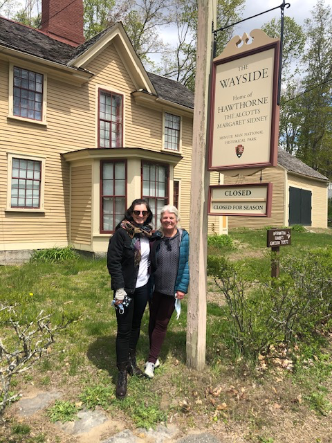 The Wayside