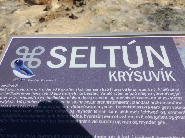 Seltún, Krýsuvík Geothermal Area