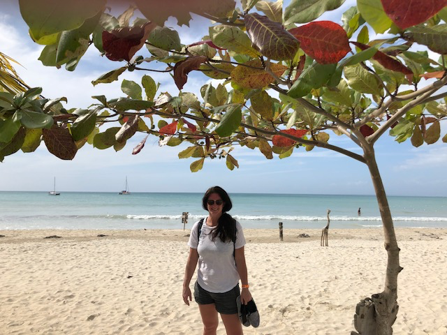 Seven Mile Beach at Negril