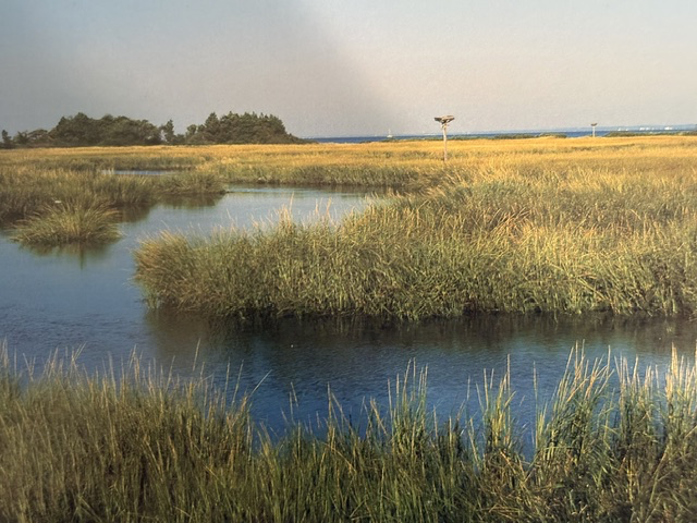Gateway National Recreation Area
