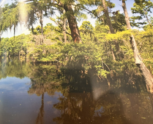 Big Thicket National Preserve