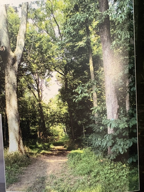 Potomac Heritage National Scenic Trail