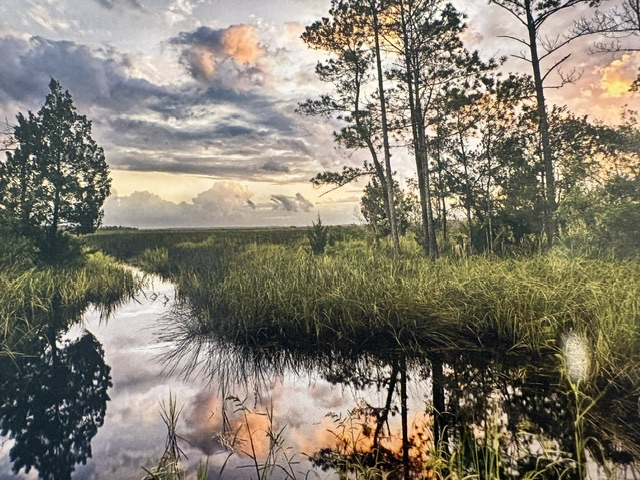 Timucuan Ecological and Historic Preserve