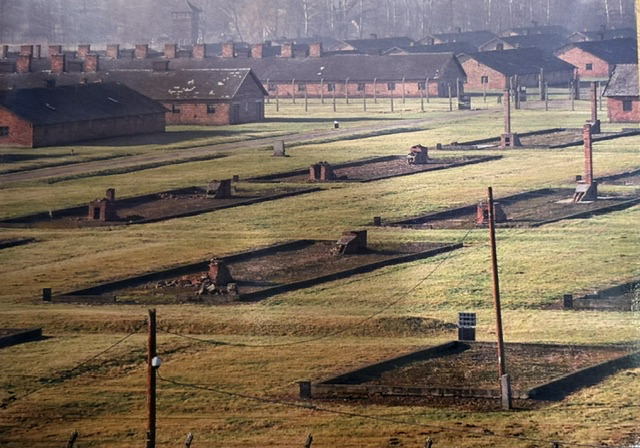 Auschwitz II–Birkenau Memorial and Museum