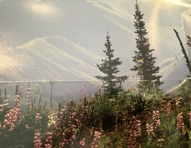 Nez Perce National Historical Park