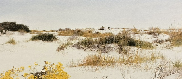 Gulf Islands National Seashore