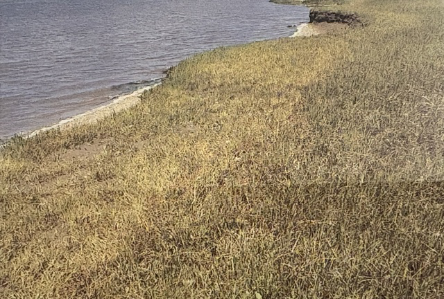 Great Egg Harbor National Scenic and Recreational River