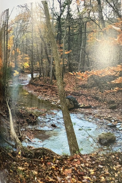 Cuyahoga Valley National Park