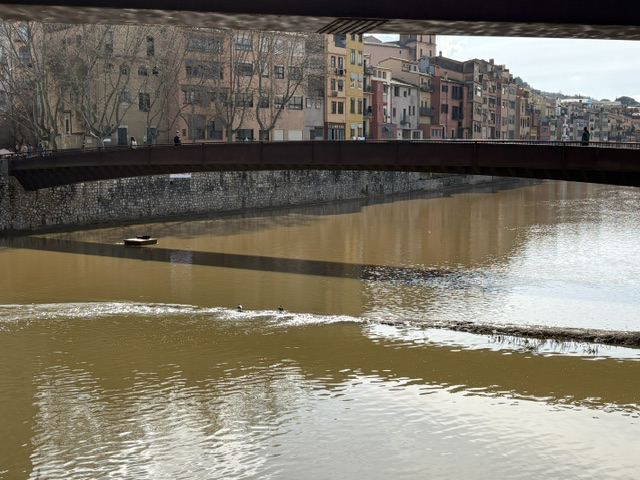 The Onyar River