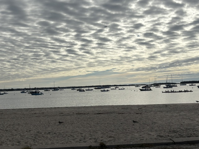 Veterans Park Beach and Lewis Bay