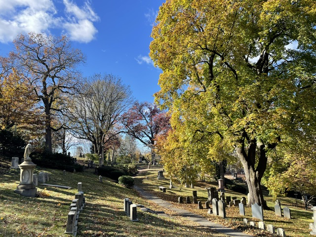 Mount Auburn Cemetery
