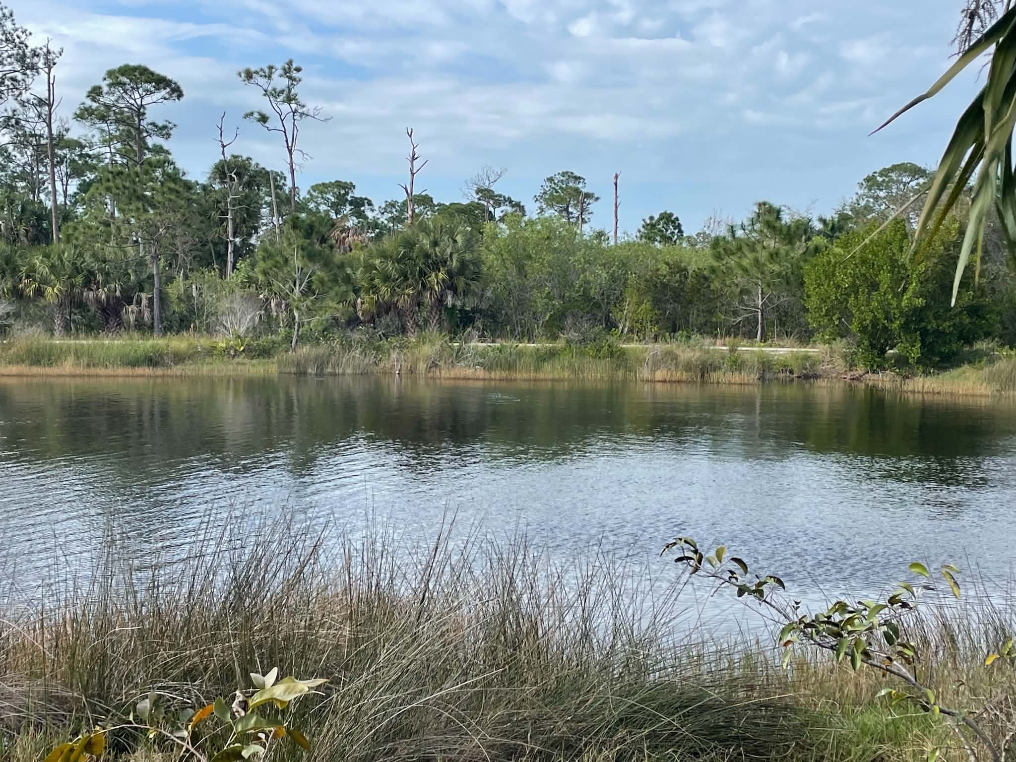 Florida
