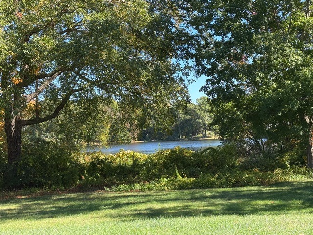 Shovel Shop Pond