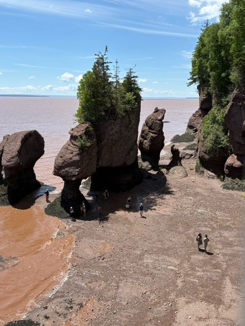 Hopewell Rocks