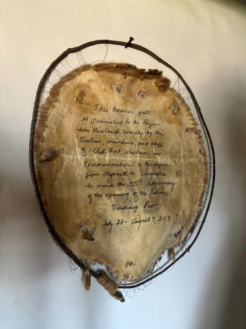 A Beaver Pelt